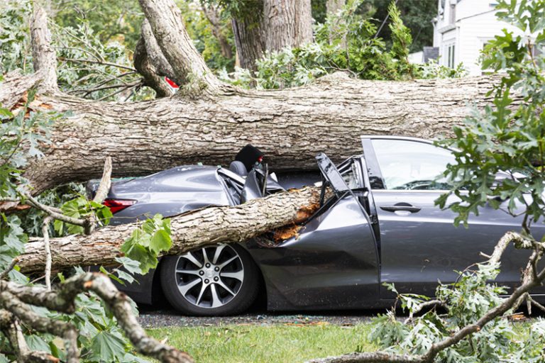 storm-damage-768x512